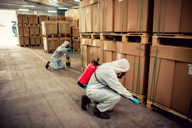 Best Commercial Pest Control Services  in Surprise, AZ