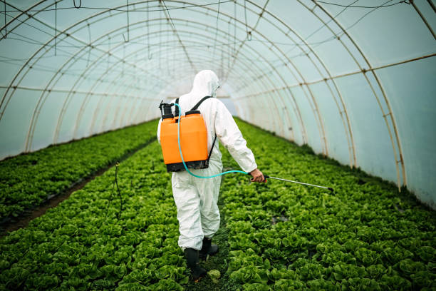 Best Pest Inspection Near Me  in Surprise, AZ