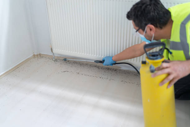 Best Pest Control Near Me in Surprise, AZ